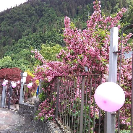 Casa Per Ferie Paola Di Rosa Hotell Arta Terme Eksteriør bilde