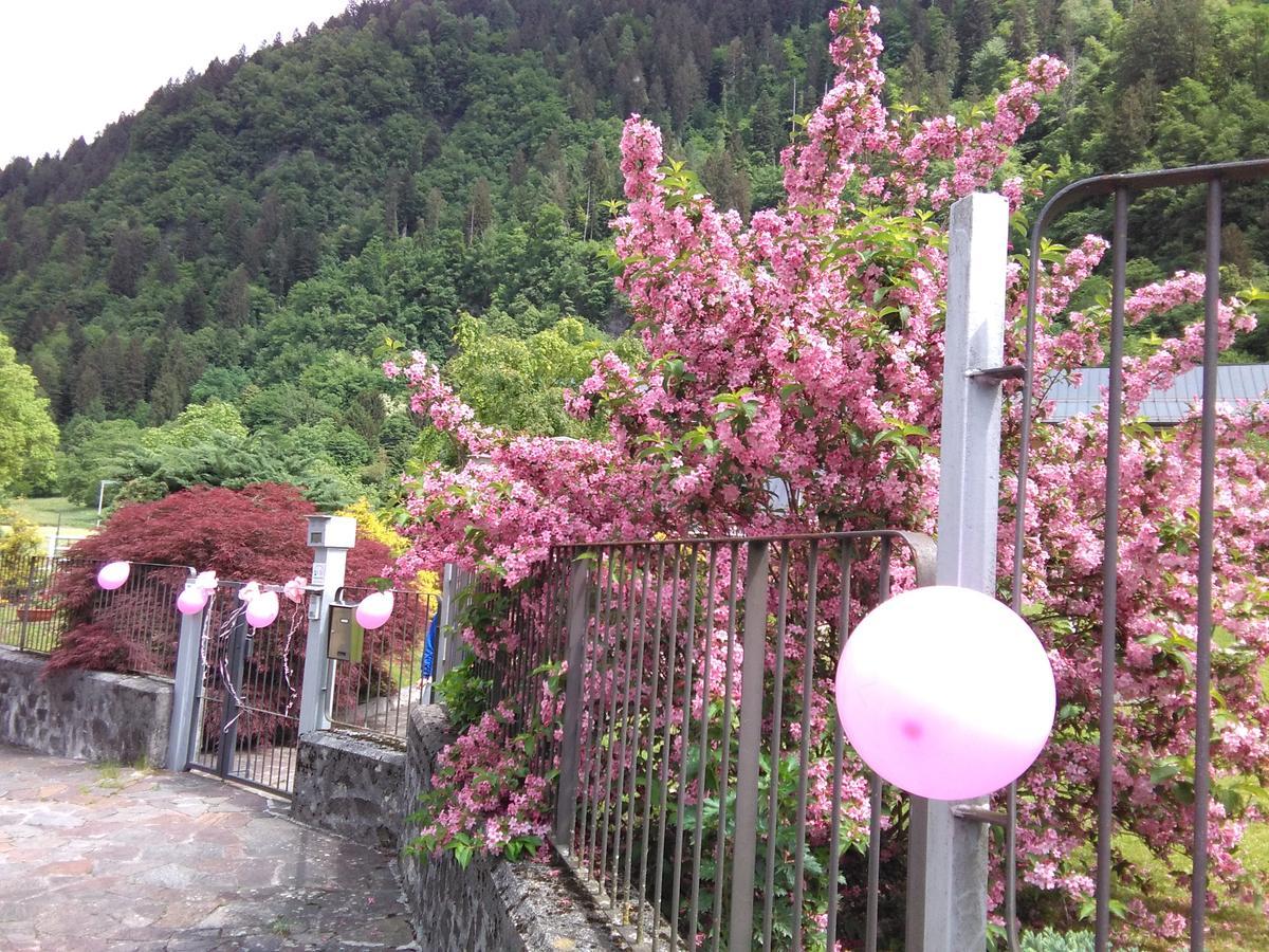 Casa Per Ferie Paola Di Rosa Hotell Arta Terme Eksteriør bilde